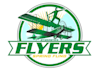 design awesome airplane logo with free vector files