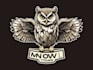 design a high quality owl logo