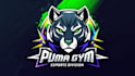 make awesome puma logo with express delivery