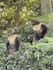 help you discover kenya with authentic local insight