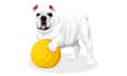 make a pet illustration