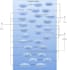 do uml diagram, class, use case, activity, sequence, flowchart, dfd, erd