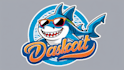 do creative shark mascot logo in 2 days