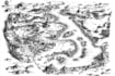 draw the inkarnate fantasy map you wish