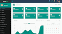 develop a custom hospital management system in aspnet