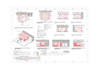 perform architectural modeling with professional standards