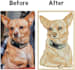 digitize your pet photo into embroidery dst pes emb files