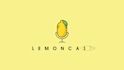 create stunning custom 2d 3d logo animation video