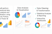 perform professional data analysis and visualization