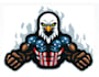 design modern awesome american eagle logo