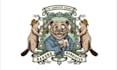 create hand drawn vintage coat of arms, family crest