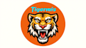 do angry tiger head mascot logo design
