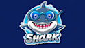 do creative shark mascot logo in 1 day