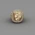make a custom 3d jewelry ring design