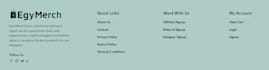 write SEO friendly website content and landing pages