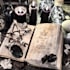 cast powerful black magic spell to win court case for you
