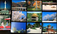 send you a unique postcard from japan