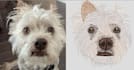 convert your photos into embroidery