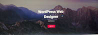 build or rebuild wordpress website