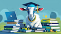 provide basic to pro SEO course