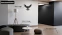 create professional and creative zoom virtual backgrounds