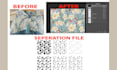 redraw and color separation for your screen printing