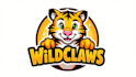 make tiger mascot logo in high definition