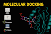 do molecular docking, network pharmacology and in silico drug discovery analysis