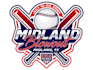 design a professional softball logo