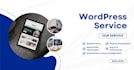 design, customize your wordpress website professionally