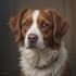 paint a portrait for your pet