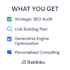 grow your website traffic, leads, rankings and generative ai results
