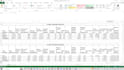 automate and manage your excel data with advance  formulas