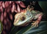 draw high quality animal, insect, and botanical art