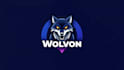 design high quality wolf head mascot logo with express delivery
