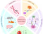 help you with crispr, cancer, neuroscience tasks