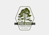 make a custom beautiful pine tree logo design