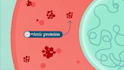animate your teaching videos to boost understanding