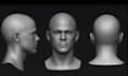 do 3d bust model 3d head model face model 3d head bust zbrush 3d printing