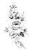 draw custom birth flowers tattoo in illustration