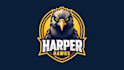 make an amazing harper hawk mascot logo  with express delivery