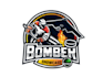 creative hockey team logo design