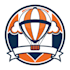 design stylish balloon logo with express delivery