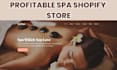 design and redesign profitable spa website spa dropshipping store spa shopify