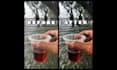 edit and enhance your photo professionally
