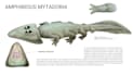 draw speculative evolution paleoart creature illustration