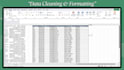 clean and format excel data professionally