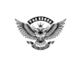 create exclusive and marvelous owl bird logo design