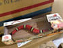 be china dropshipping agent, shopify sourcing, qc shipping