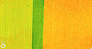process rgb, multispectral, thermal and insta360 mapping and imaging services